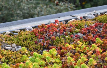 the cost of Whitney On Wye green roof installation